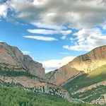 L'olivera -