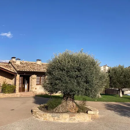 L'olivera - Appartement