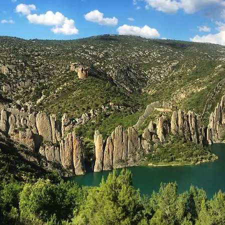 L'olivera - Benabarre